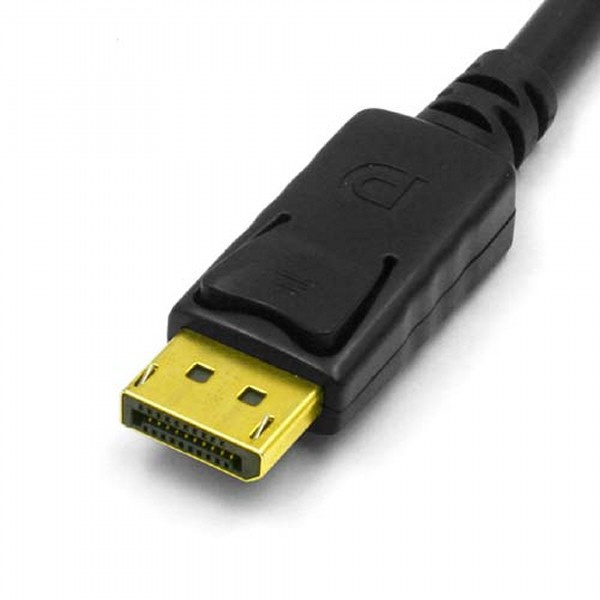 LINDY DVI - DisplayPort 1.1アクティブ変換アダプタケーブル、USB給電