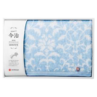 太阳佳洁士礼物毛巾(浴巾1张/蓝色)