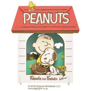 y[p[VA^[ PT-137N PEANUTS Friends are Forever