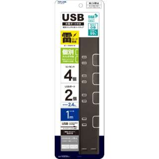 USB付き個別スイッチ1mブラウン STPC100-BR STPC100-BR [1.0m /4個口 /スイッチ付き（個別） /2ポート]