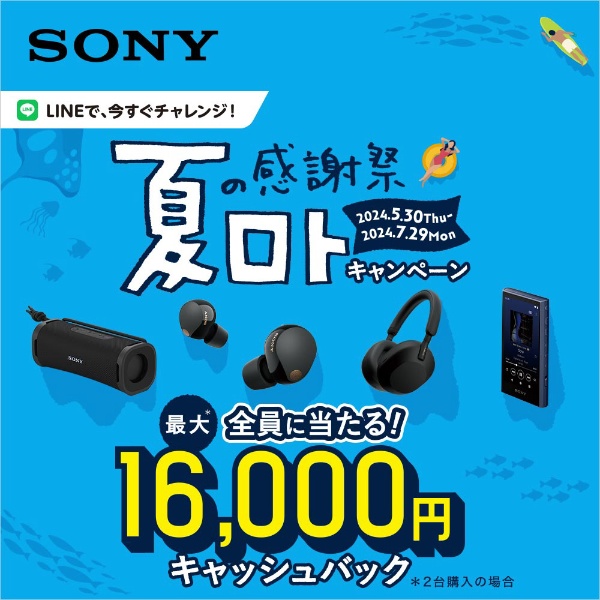 SONY NW-A307 グレー 現行型ウォークマン 64GB-