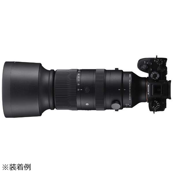 JY 60-600mm F4.5-6.3 DG DN OS Sports [CJL /Y[Y]_5