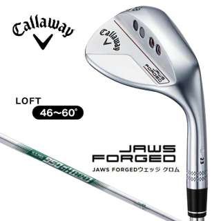 EFbW JAWS Forged Wedge23 W[Y tH[Wh EFbW23 N 48.0COCh oXpF10.0 sN.S.PRO 950GH neo(S)t yԕisz