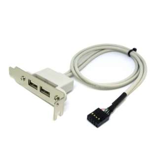 PCIuPbgi[vj USB2.0x2 P[u zCg PD8739
