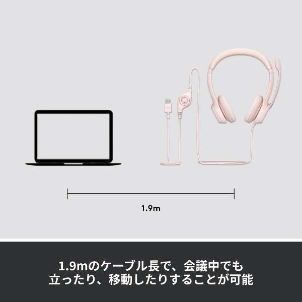 耳机H390玫瑰H390rRO[USB/两耳朵/头带型]_7