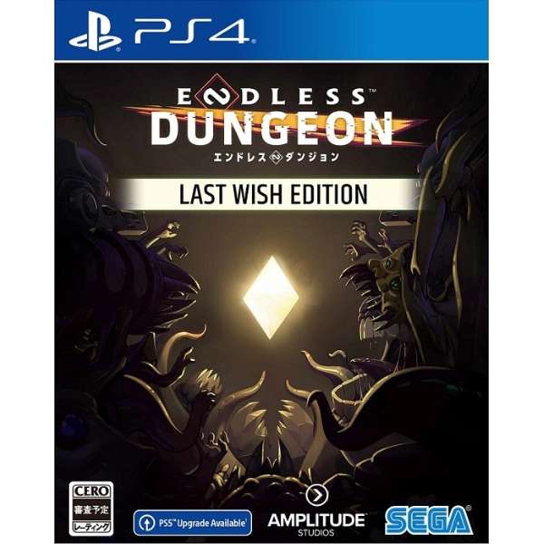 ENDLESS Dungeon Last Wish Edition yPS4z_1