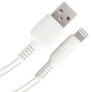 USB-A to Lightning 炩P[u 2m zCg JKYAL200WH