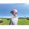 HATACHI(hatachi)女子的帽子运动场高尔夫球粉红BH8811[退货交换不可]_6