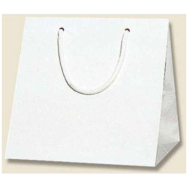 シモジマ｜SHIMOJIMA ＨＥＩＫＯ 手提げ紙袋 ブライトバッグ 白 Ｃ２