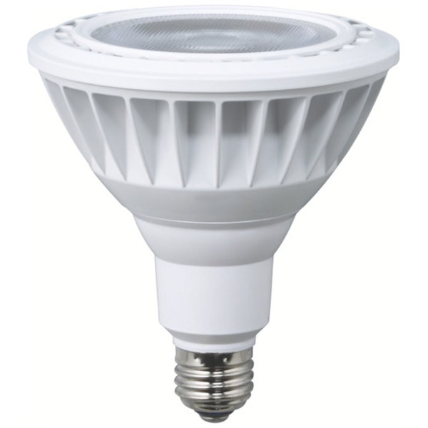 ハタヤ LED作業灯 20W電球色ビームタイプ 電線5m RGL-5L 《※画像は