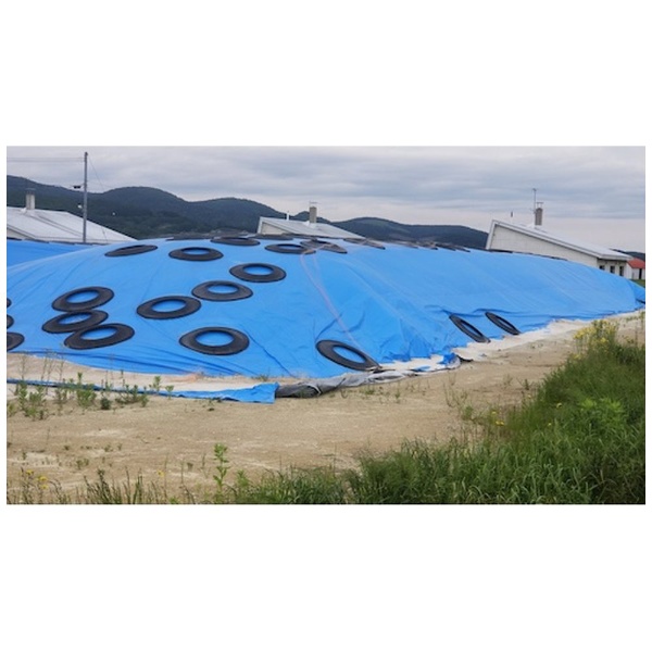 萩原工業 ジャンボシート (大型ブルーシート) 20m×20m 信頼の国産品 広い面積を包み込む大型ジャンボシート [送料無料] - 3