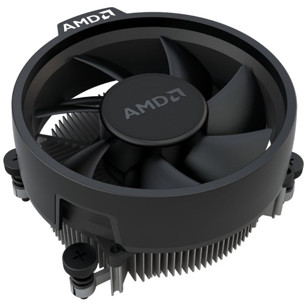 CPU〕AMD Ryzen 3 4300G With Wraith cooler （Zen2） 100