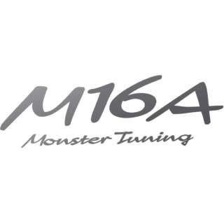 M16A MONSTER Tuning XebJ[  K^bN 896161-0000M
