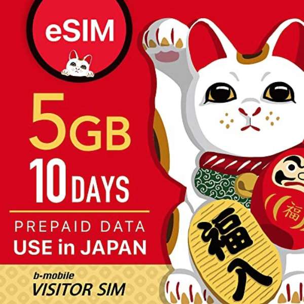 eSIM ｄｏｃｏｍｏ线路"b-mobile VISITOR SIM 5GB/10Days Prepaid eSIM pack"BM-VS-5GB10D-P[ＳＭＳ过错对应]_2