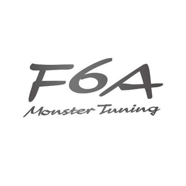 F6A MONSTER Tuning ƥå  ᥿å 896126-0000M