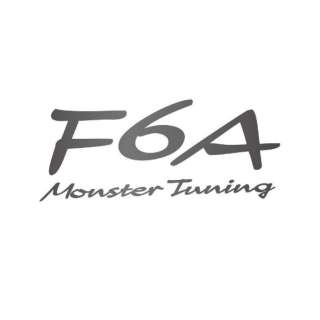 F6A MONSTER Tuning XebJ[  K^bN 896126-0000M