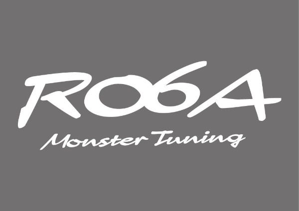 R06A MONSTER Tuning ƥå ۥ磻 896175-0000M