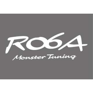 R06A MONSTER Tuning XebJ[ zCg 896175-0000M