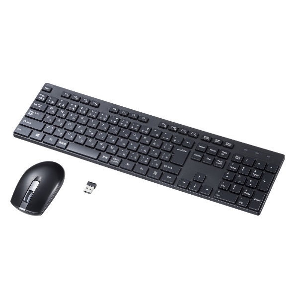 ワイヤレスキーボード・マウス ブラック SKB-WL25SETBK [USB