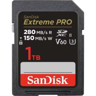 SanDisk Extreme PRO UHS-II V60 SDSDXEP-1T00-JNJIP [Class10 /1TB]