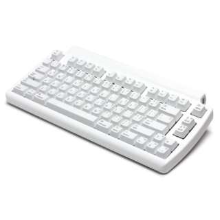 L[{[h Mini Tactile Pro keyboard for Mac(pz) zCg FK303/2 [L /USB]