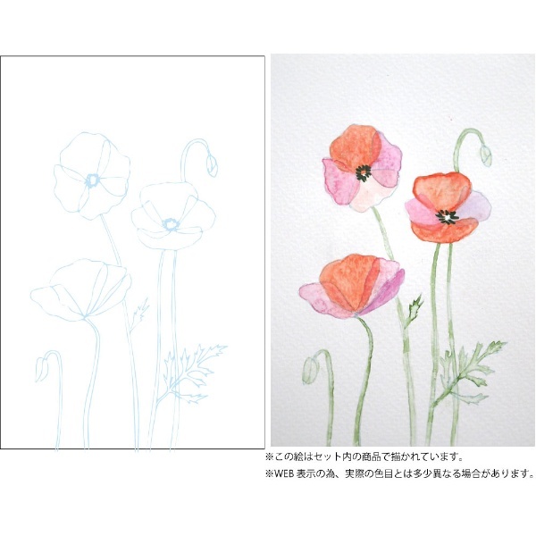 重ね塗り　花の描き方レッスン　水彩イラスト　通販　EW-1　呉竹｜Kuretake
