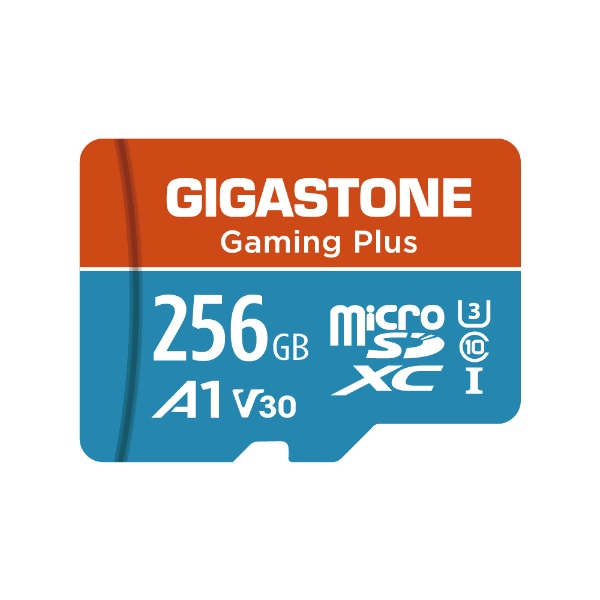 【未使用】Gigastone Micro SD Card 256GB