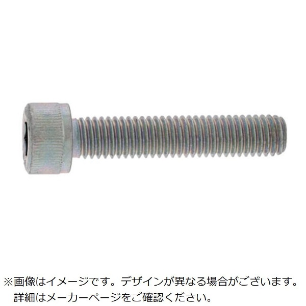 ＣＡＰCAP  10 X 105 標準(または鉄) 無電解ニッケル(カニゼン - 4