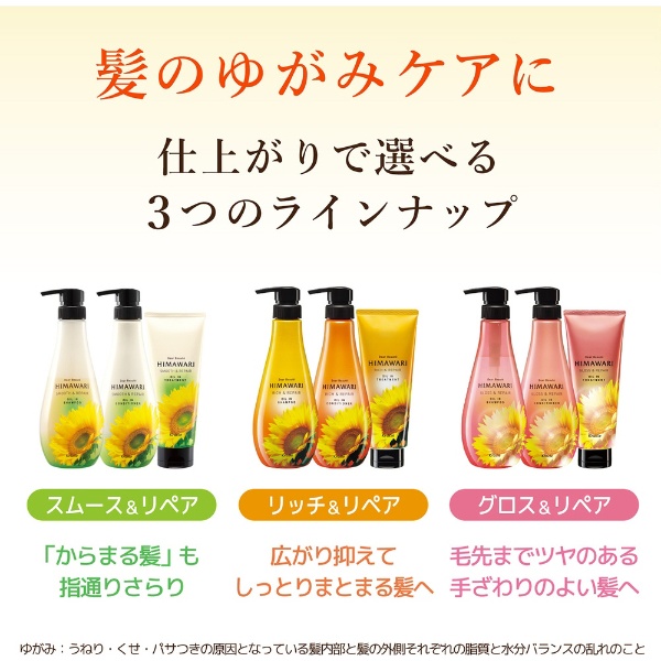 DearBeaute（ディアボーテ）オイルインシャンプー＆オイルインコンディショナー（ムーミン サマー）500mL＋500g