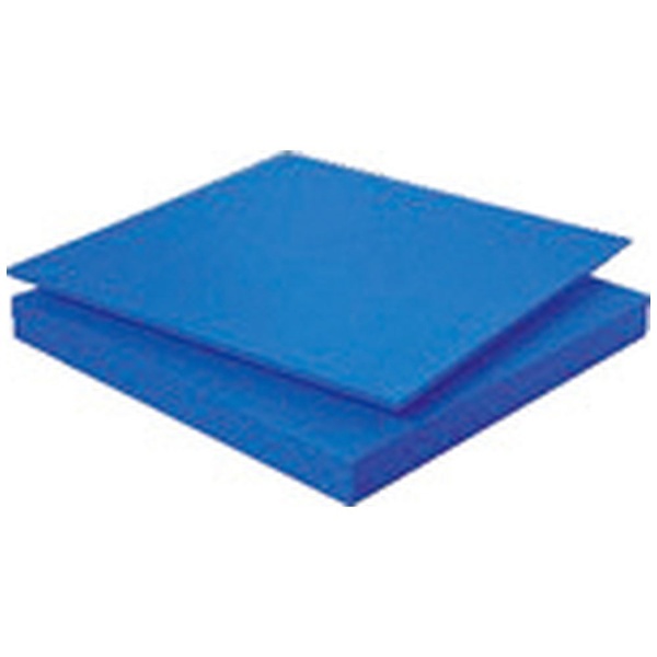 タキロン　スーパーキャストナイロン　TP-MCN-PLATE-550-45-500-1000　45T×500×1000　青　タキロンシーアイプラス(株)-