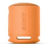 蓝牙音响橙子SRS-XB100 ＤＣ[防水/Bluetooth对应]