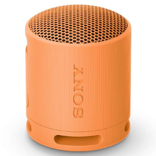 蓝牙音响橙子SRS-XB100 ＤＣ[防水/Bluetooth对应]_14