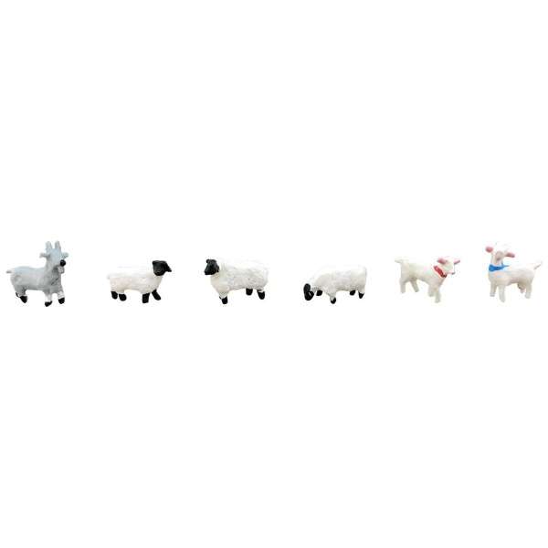 情景收集这个动物107牧场的羊、羊_1