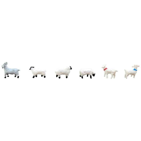 情景收集这个动物107牧场的羊、羊_2