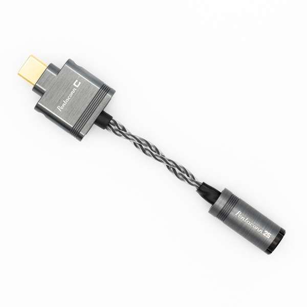 ϊP[u C USB Type C  2.5mmWbN Spada Pentaconn PCC01-C-25_1