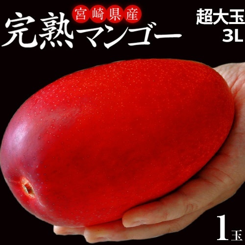 直送ギフト　3L(450～509g)×10玉　大玉『みやざき完熟マンゴー』宮崎県産　通販