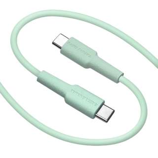 USB C to Type C cable 炩 1.5m CgO[ R15CACC3A01LGR [USB Power DeliveryΉ]