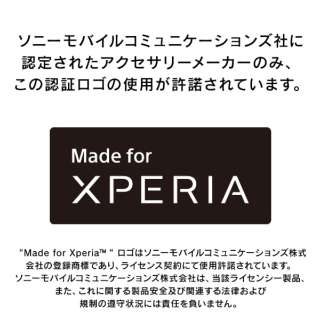Xperia 10 V [FLEX 3D] SKX FȂȂu[Cgጸ t[KX ubN