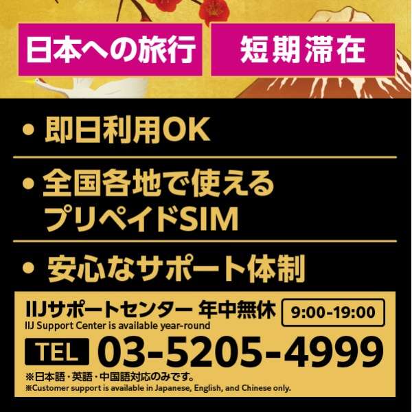 [有免税优惠券]Japan Travel SIM 6GB (Type I) for BIC SIM_2