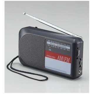 ĂEJ^Radio AFM-25PR
