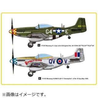 1/48 GANtg P-51D }X^O