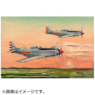 1/48 GANtg R P-51D/K }X^O