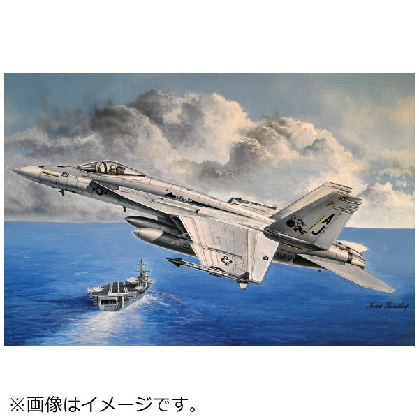 1/48 エアクラフト F/A-18E スーパーホーネット ホビーボス｜HOBBY