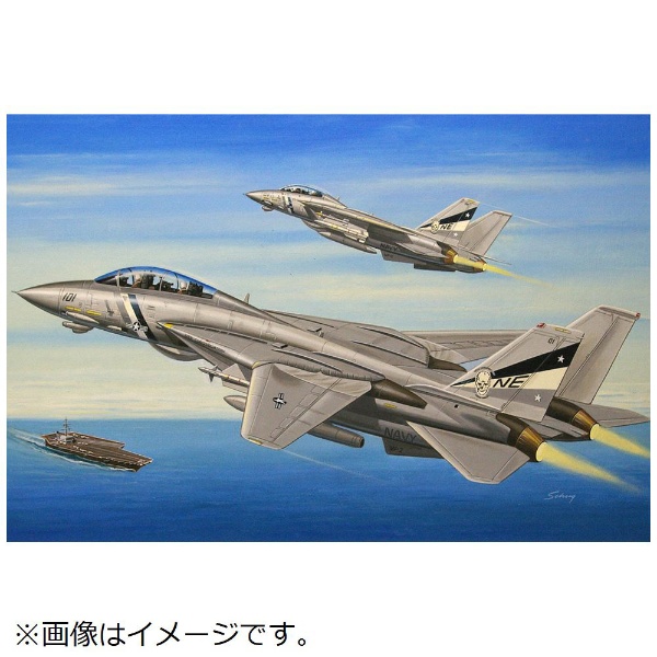 1/72 エアクラフト F-14D スーパートムキャット ホビーボス｜HOBBY