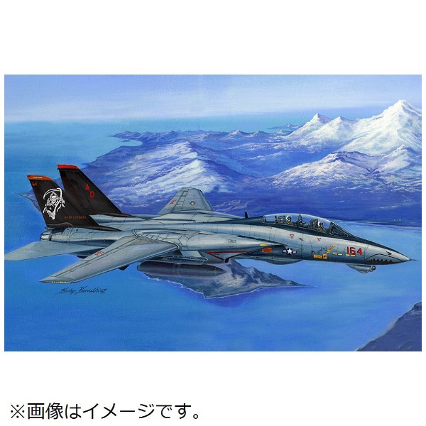 1/48 エアクラフト F-14D スーパートムキャット