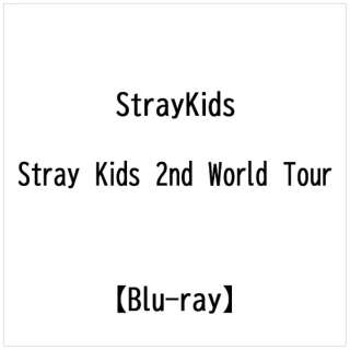 Stray KidsF Stray Kids 2nd World TourBRD BLU yu[Cz
