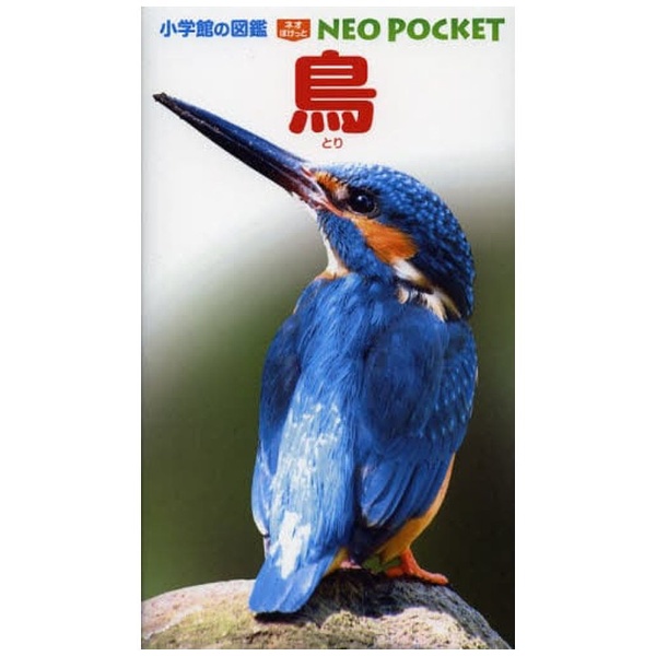 小学館の図鑑　NEO POCKET 鳥