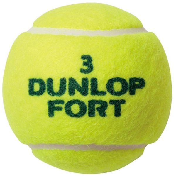 硬式テニスボール FORT 2個入 イエロー ダンロップ｜DUNLOP 通販 
