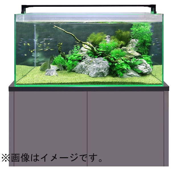 【限定品特価】ゼンスイ マルチカラーLED 600 水槽装飾品