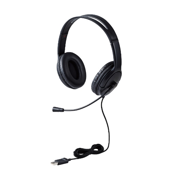 ヘッドセット ブラック HS-HP30UBK [USB /両耳 /ヘッドバンドタイプ 